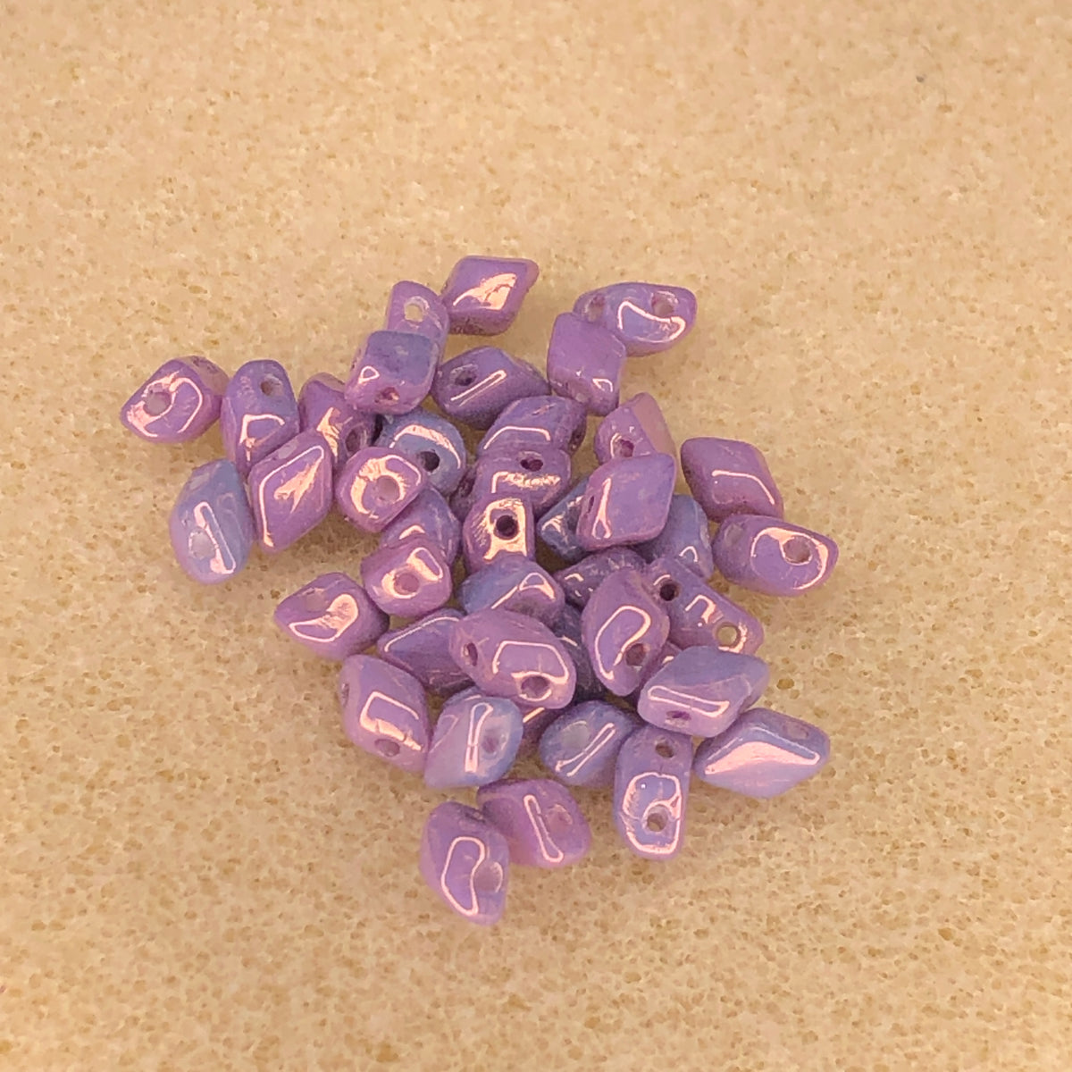 6x4mm Mini GemDuo - Vega on Chalk