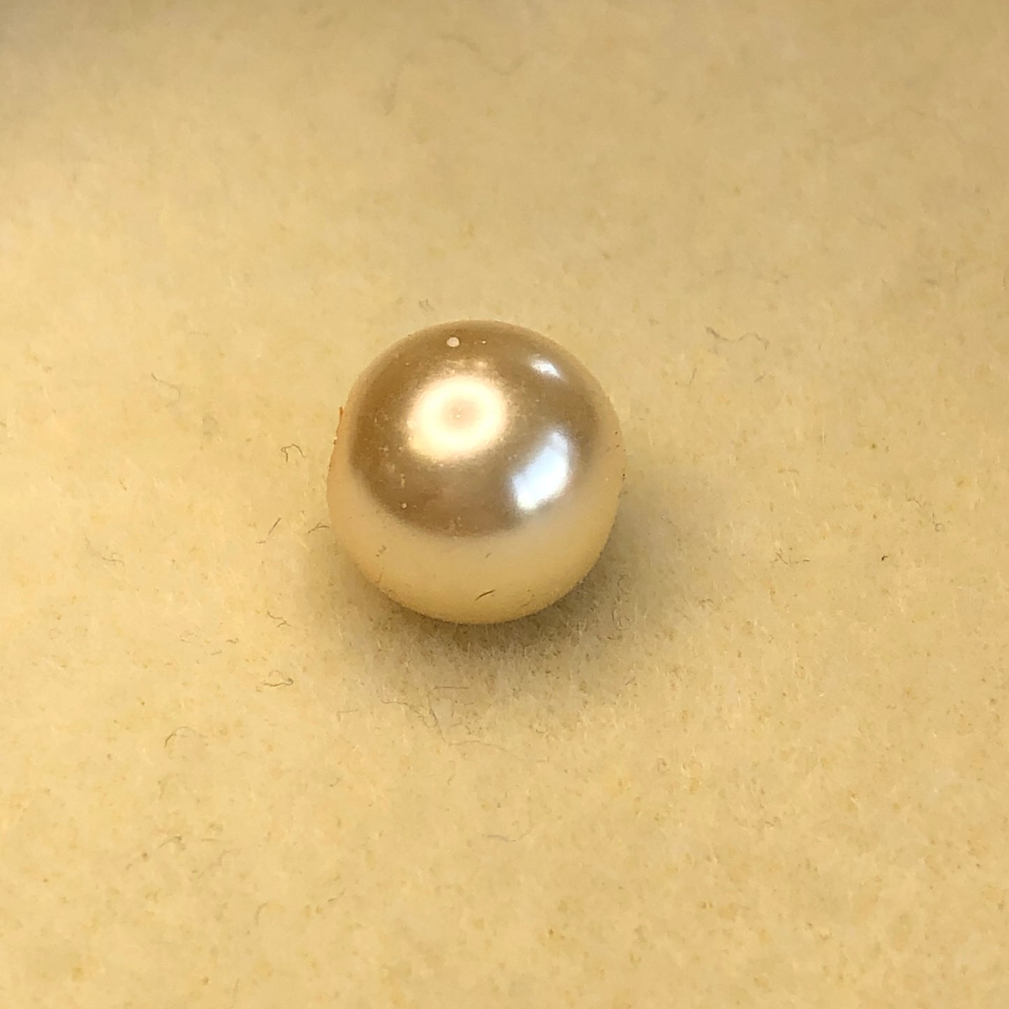 61923050 - 12mm Celestial Crystal Pearl-Medium Pink