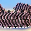 Colors Entwined Bracelet Kit